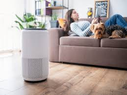 Which air purifier gives the best performance: the philips air purifier or the mi air purifier